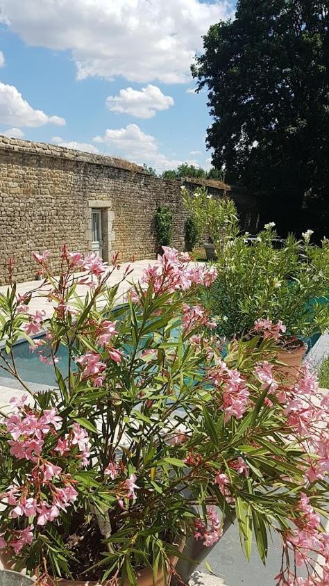 L'Annexe Du Plessis Bochard Hostal Saint-Pierre-des-Nids Exterior foto